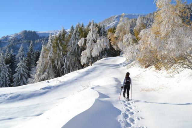 A spasso con le ciaspole in Valle Po - Pian Munè